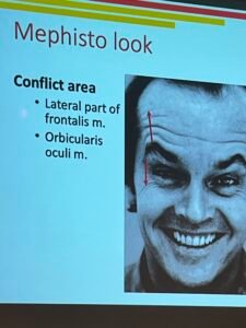 Participation à la Masterclass Anatomy and Injection Lyon 4 et 5 oct 2024
